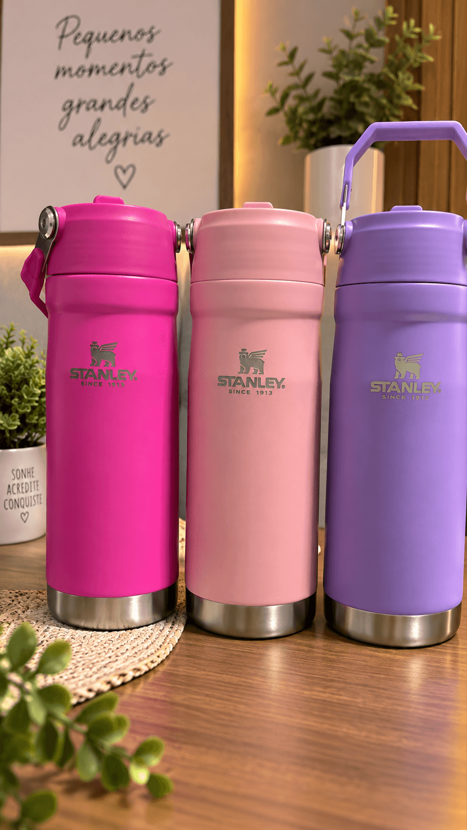 GARRAFA STANLEY 650ML